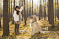 小女孩和宠物狗在秋日树林里玩耍