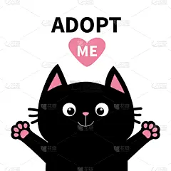 猫,粉色,黑色,缅因州,似人脸,心型,动物头,婴儿,小胡子,收养_4617644063