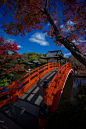 Fall in Kyoto #Japan
