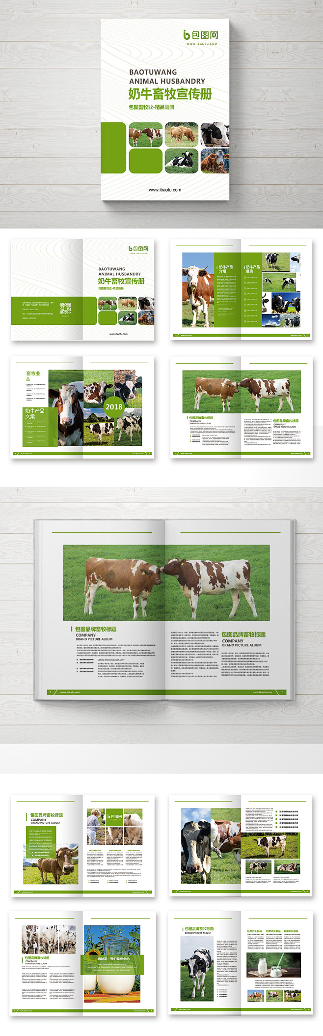 105 整套绿色奶牛畜牧业产品宣传册