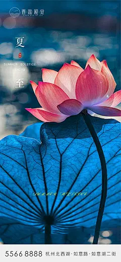 夏至节气海报-享设计