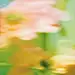 WALLFLOWERS DE PAISAGE