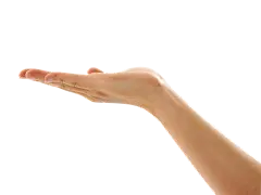 手