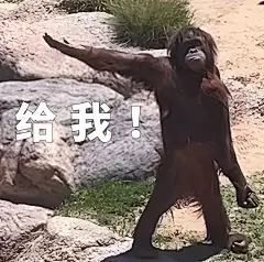 给我_伸手_表情包_日常