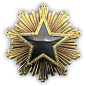 CSGO服役勋章 