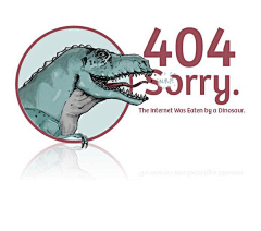 老娜nanana采集到WEB【404】