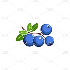 蓝莓矢量图
