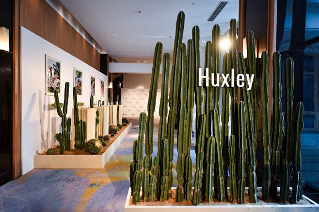 水润仙活 一触即发 Huxley的最佳护...