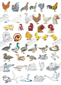 卡通小鸟 【酷图网】卡通小鸟,卡通素材,矢量素材,矢量小鸟,手绘小鸟,小鸟插画,可爱卡通,小鸟,可爱小鸟,漫画小鸟,卡通动物,动漫卡通,可爱,贺卡,动物插画,插画,儿童绘本,儿童画画,