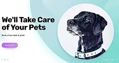 跨境电商海报设计，宠物海报 ，宠物图 动物类 亚马逊A+海报，1688国际站海报，轮播海报，欧美，国外，英文，亚马逊，速卖通--国际站大图海报，翊溪设计采集 （有意＋V：YIYI20409 (5)