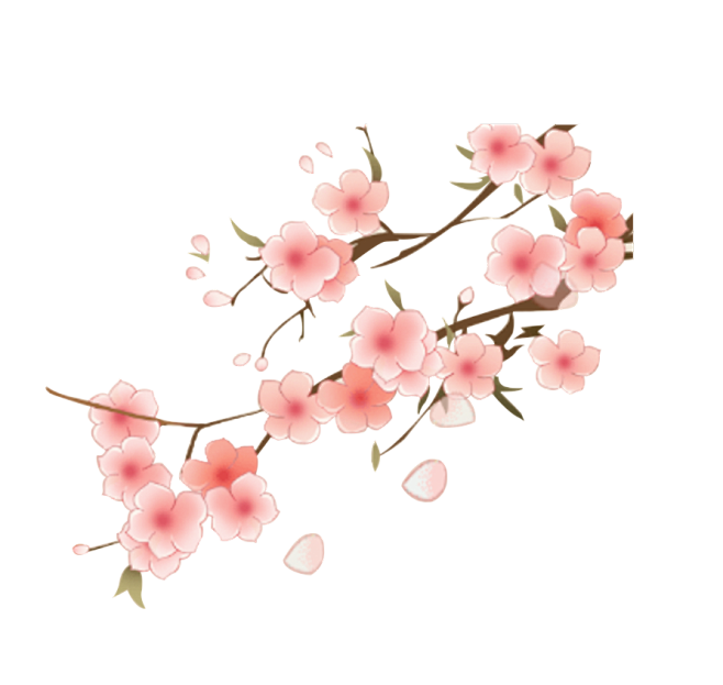 花枝 png