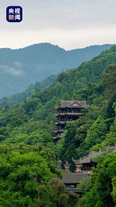 ~小迷糊~采集到成都和它的后花园