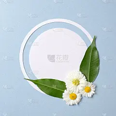 春天自然最小的概念。绿叶雏菊花，粉彩蓝色背景的白色圆形纸卡。平铺构图与复制空间。顶视图,开销