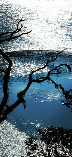 @存图君 的个人主页 - 微博