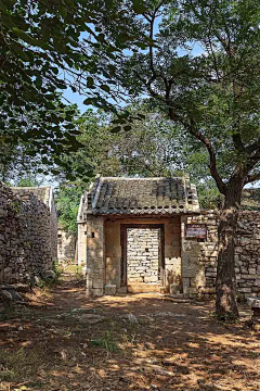 周末的三叶草采集到素材-场景