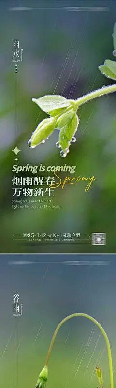 雨水谷雨立春春分惊蛰海报-志设网-zs9.com