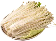 金针菇灵感图 7
