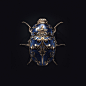 Jewel insects on Behance