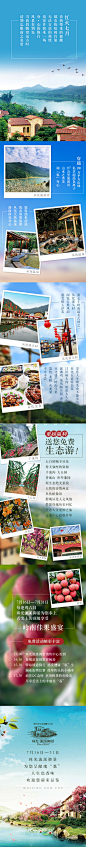 #H5##唯美文艺小清新##荔枝##旅游#