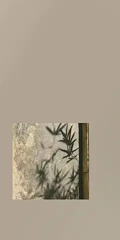 @你看那是岸_朱夫人（由于壁纸有一部分自制，所以转壁纸请加关注注明出处，蟹蟹）平铺，可爱，女王范，黑色，黑白，白色，锁屏，ins风，潮，御姐，动漫，卡通，风景，古风，流行，欧美，情侣壁纸