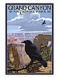 Grand Canyon National Park - Ravens and Angels Window