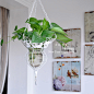 家居装饰铁艺玻璃花瓶 水培玻璃花瓶 做旧金属玻璃仿真鲜花花盆
