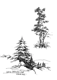 嘉景园林景观的QQ空间 [http://391855404.qzone.qq.com]