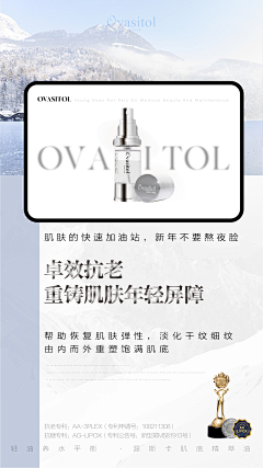 伝洛采集到板式