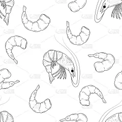 无缝模式的虾。手绘。海洋食品。矢量插图。没完没了的照片。