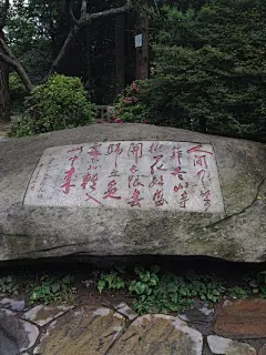 小熊爱旅游