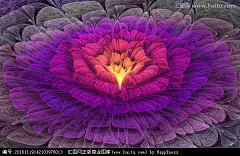花朵抽象花朵鲜花花朵壁纸花纹背景图案花纹图案花朵装饰画花朵背景墙数码印花图案花卉手绘花花花朵印花酷炫背景分形花花朵图案