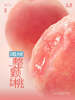 皮皮小小宝宝采集到版式