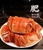 【活蟹】蟹爵大闸蟹六月黄1.8-2.1两12只 鲜活螃蟹现货生鲜水产【图片 价格 品牌 报价】-京东