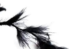 羽毛 免费壁纸 质地 美丽的壁纸 笔记本电脑壁纸 柔软的 桌面背景