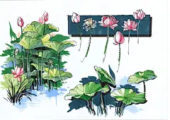 大苏有“画”说——湿地水生植物景观手绘表达