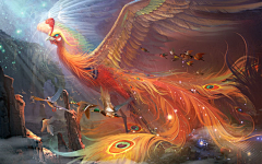 一片☪空白✟采集到凤凰