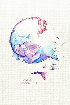 苏夏SummerSue采集到水水粉粉