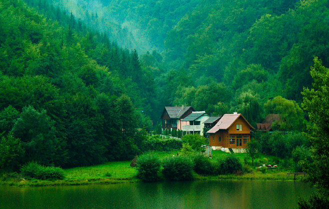 森林树木灌木草小屋河流风景图片