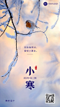 小寒节气祝福动态海报