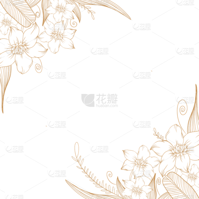 金色手绘线条花卉边框元素