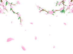 用户jphOf5P5采集到待归类采集