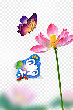 办公资源分享采集到节日节气