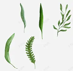 卡通小草树叶 设计图片 免费下载 页面网页 平面电商 创意素材