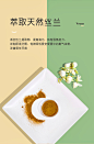 它适Funny Bunny兔粮成年兔饲料美毛兔子用品粮食宠物兔子粮800g-tmall.com天猫