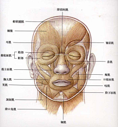 文艺小小采集到结构