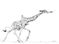 giraffe_sketch_by_davidsdoodles