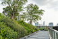 曼谷新型屋顶公共空间，“空中森林景观” / Shma Company Limited – mooool木藕设计网