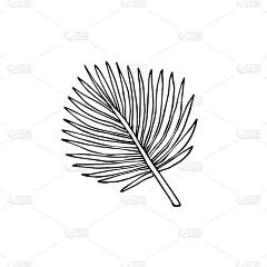 矢量手绘涂鸦素描棕榈叶