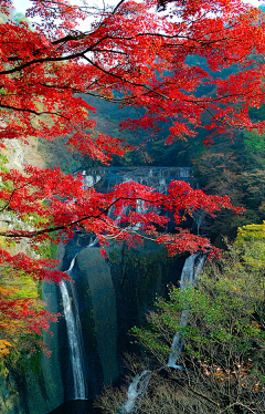 非瑄采集到景