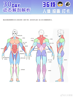 rDgUJhC2采集到人体
